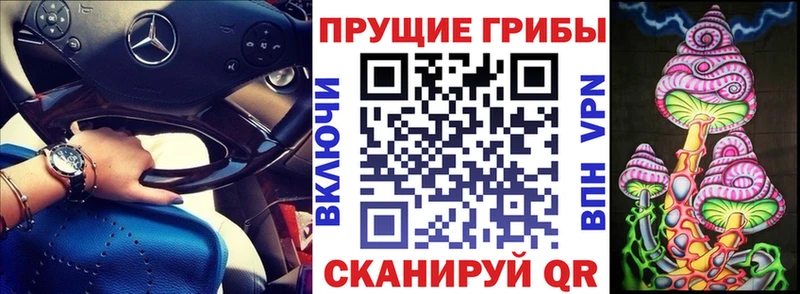 Галлюциногенные грибы Psilocybine cubensis  MEGA tor  Игра 